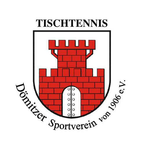 Dömitzer SV 06